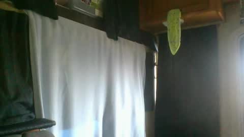 Snapshot of taylafox chatting on 02.07.25 taylafox online show from 02.07.25