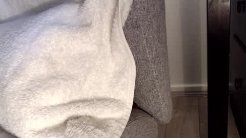 Snapshot of tedging2 chatting on 01.28.25 Tedging2 online show from 01.28.25