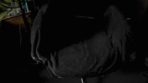 Snapshot of thehotstepperx chatting on 01.18.25 thehotstepperx online show from 01.18.25