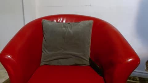 Snapshot of thekodyy chatting on 01.26.25 thekodyy online show from 01.26.25