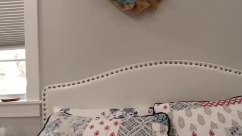 Snapshot of thelipsdown chatting on 12.01.24 Lacey online show from 12.01.24