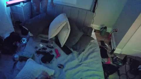 Snapshot of theperfectbottom chatting on 11.17.25 theperfectbottom online show from 11.17.25