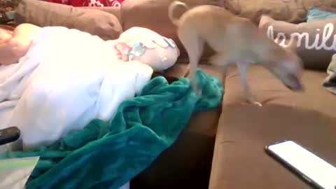 Snapshot of theycallmemellowthebreeze chatting on 02.05.25 mellow online show from 02.05.25