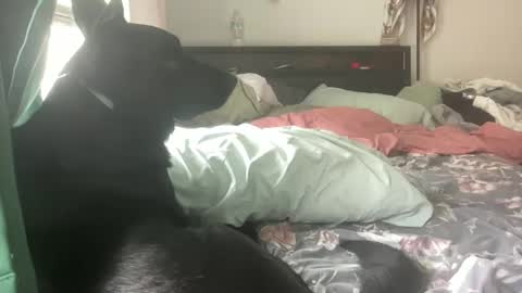 Snapshot of throatyygoat chatting on 09.21.25 throatyygoat online show from 09.21.25