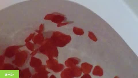 Snapshot of tia_j chatting on 10.12.25 tia_j online show from 10.12.25