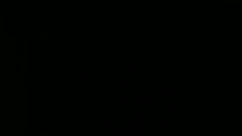 Snapshot of tomandjudy chatting on 11.16.25 Bear and Chaw online show from 11.16.25