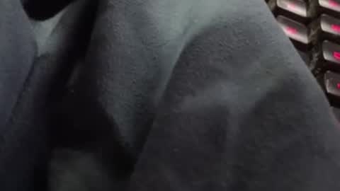 Snapshot of tonysafari chatting on 02.27.25 tonysafari online show from 02.27.25