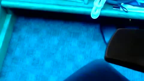 Snapshot of tornne chatting on 02.02.25 tornne online show from 02.02.25