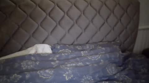 torrino12 online show from 01.06.25