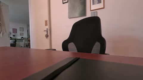 Snapshot of toymex chatting on 12.26.24 toymex online show from 12.26.24