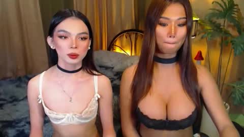 Snapshot of twinktransshanel chatting on 10.08.25 twinktransshanel online show from 10.08.25