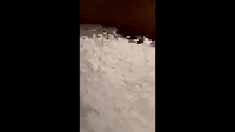 Snapshot of txcouple281 chatting on 11.16.25 txcouple281 online show from 11.16.25