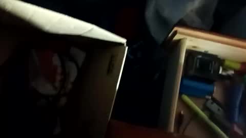 Snapshot of tylershroyer7 chatting on 10.28.25 Dudeman online show from 10.28.25