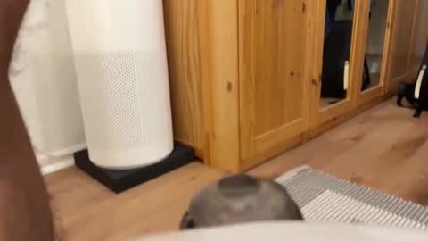 Snapshot of umberto2015 chatting on 12.04.24 Umberto2015 online show from 12.04.24