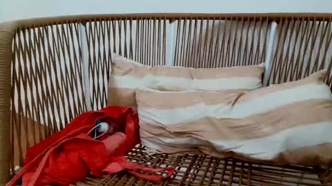 Snapshot of underground33 chatting on 01.16.25 Under  Huge cock with beautiful uncut foreskin online show from 01.16.25