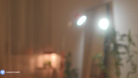 Snapshot of urfavflwers chatting on 11.09.25 Aleksandra online show from 11.09.25