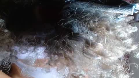 Snapshot of victoria_miler chatting on 02.14.25 VICKY online show from 02.14.25