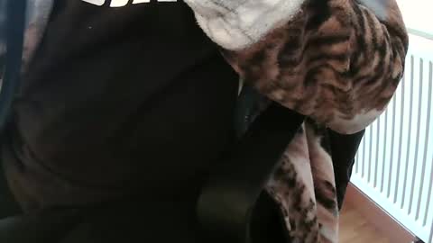 Snapshot of vulkan12p chatting on 02.04.25 Daniel online show from 02.04.25