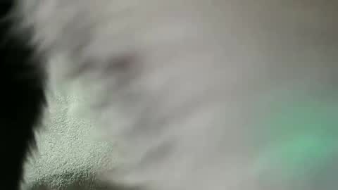 Snapshot of vulkan12p chatting on 02.28.25 Daniel online show from 02.28.25