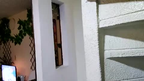 Snapshot of waningrosee chatting on 01.04.25 Waningrose  Lu online show from 01.04.25