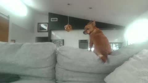 Snapshot of whitepantieman chatting on 01.28.25 whitepantieman online show from 01.28.25