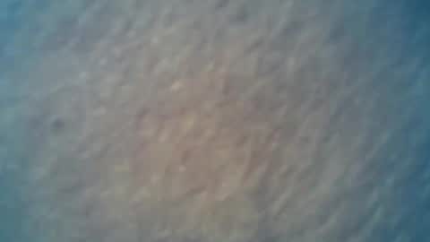 Snapshot of wildman6 chatting on 02.15.25 wildman6 online show from 02.15.25