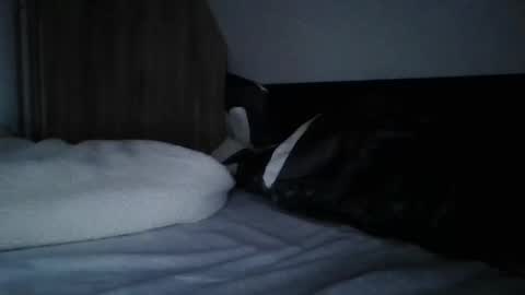 Snapshot of willobey chatting on 02.11.25 papa bear online show from 02.11.25