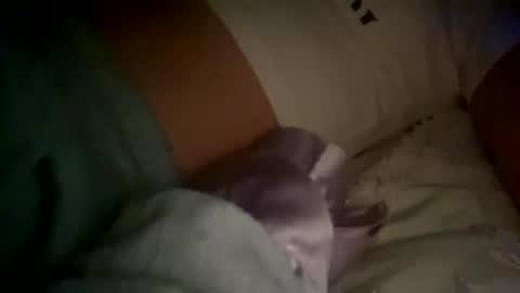 Snapshot of xxxsophiaday chatting on 10.04.25 xxxsophiaday online show from 10.04.25