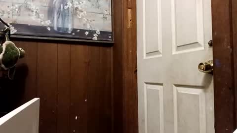 Snapshot of zfdcuvxqqtzh chatting on 11.10.25 zfdcuvxqqtzh online show from 11.10.25