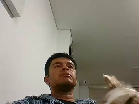 Snapshot of perxxxeo_ chatting on 10.11.25 perxxxeo  online show from 10.11.25