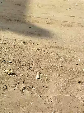 Snapshot of Monster_Bigdick chatting on 12.08.24 Monster Bigdick online show from 12.08.24