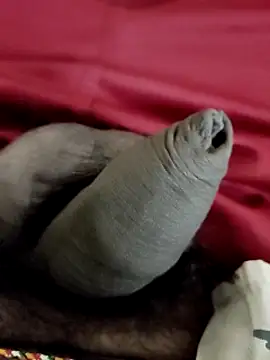 Snapshot of Ashish02345 chatting on 01.24.25 Ashish02345 online show from 01.24.25