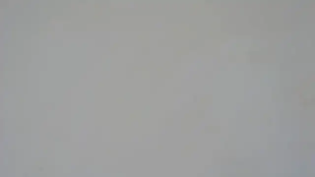 Snapshot of GiseleReine chatting on 02.05.25 GiseleReine online show from 02.05.25