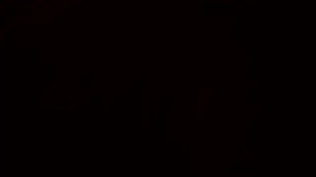 Snapshot of Ashinaga_oj chatting on 12.14.24 Ashinaga oj online show from 12.14.24