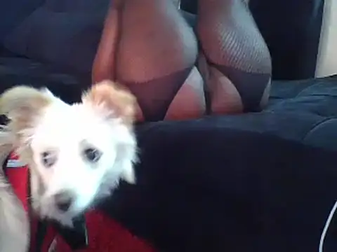 Snapshot of KikiLovesD chatting on 12.23.24 KikiLovesD online show from 12.23.24