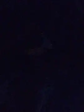 Snapshot of MrDickUdown24_7 chatting on 02.23.25 MrDickUdown24 7 online show from 02.23.25