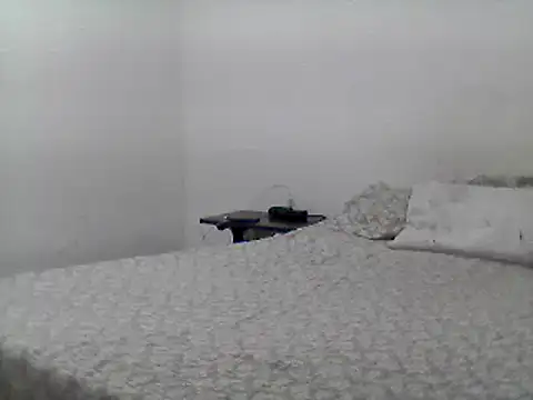 Snapshot of mariy_ chatting on 02.26.25 mariy  online show from 02.26.25