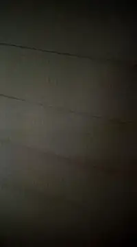 Snapshot of poussychats chatting on 02.16.25 poussychats online show from 02.16.25