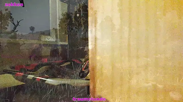 Snapshot of BongChannel chatting on 01.21.25 BongChannel online show from 01.21.25