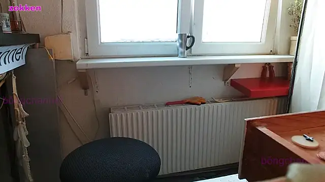 Snapshot of BongChannel chatting on 01.28.25 BongChannel online show from 01.28.25