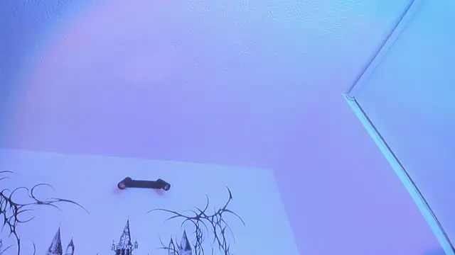 Snapshot of annie_gh chatting on 12.16.24 annie gh online show from 12.16.24