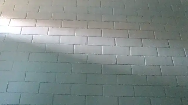 Snapshot of GiveLove1 chatting on 02.19.25 GiveLove1 online show from 02.19.25