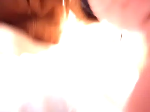 Snapshot of pnp0Japan chatting on 12.31.24 pnp0Japan online show from 12.31.24