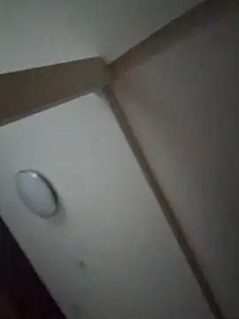 Snapshot of pnp0Japan chatting on 02.27.25 pnp0Japan online show from 02.27.25