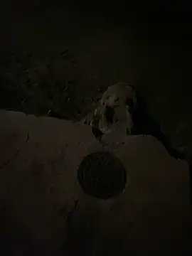 Snapshot of nowex18 chatting on 03.06.25 nowex18 online show from 03.06.25