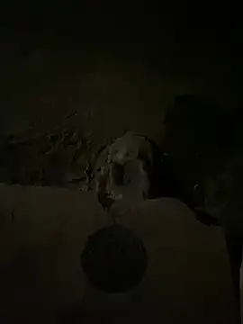 Snapshot of nowex18 chatting on 03.14.25 nowex18 online show from 03.14.25