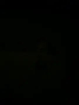 Snapshot of nowex18 chatting on 03.18.25 nowex18 online show from 03.18.25