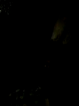 Snapshot of Tamil_boy_age28 chatting on 02.15.25 Tamil boy age28 online show from 02.15.25