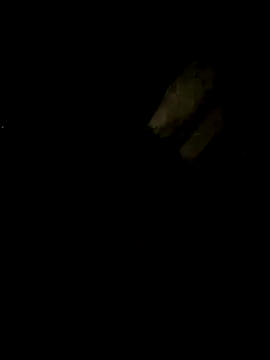 Snapshot of Tamil_boy_age28 chatting on 02.22.25 Tamil boy age28 online show from 02.22.25