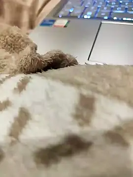 Snapshot of Bemgalado chatting on 01.03.25 Bemgalado online show from 01.03.25